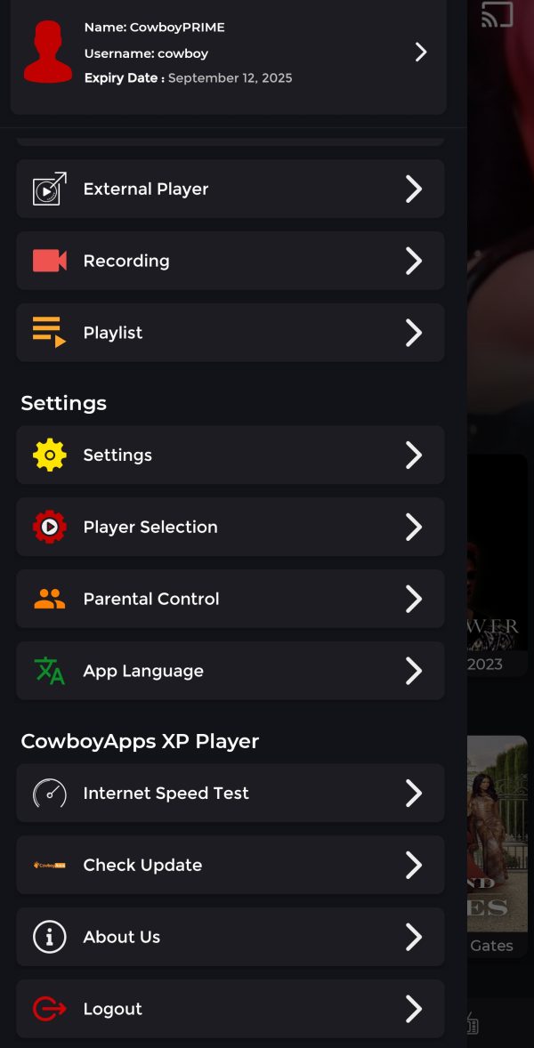Rebranded XP Player with Multi-DNS Panel - Image 7