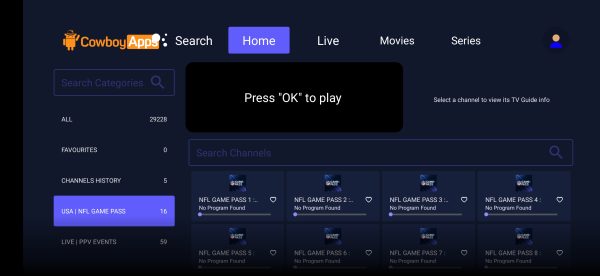 Rebranded Smarters Pro v1.9.2 with Multi-DNS Panel - Image 4