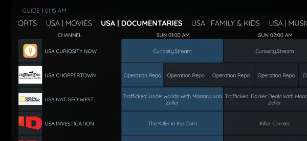 Rebranded XCIPTV with Multi-DNS Panel - Image 10