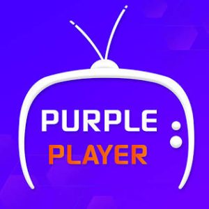 Rebranded Purple Easy Player with Multi-DNS Panel